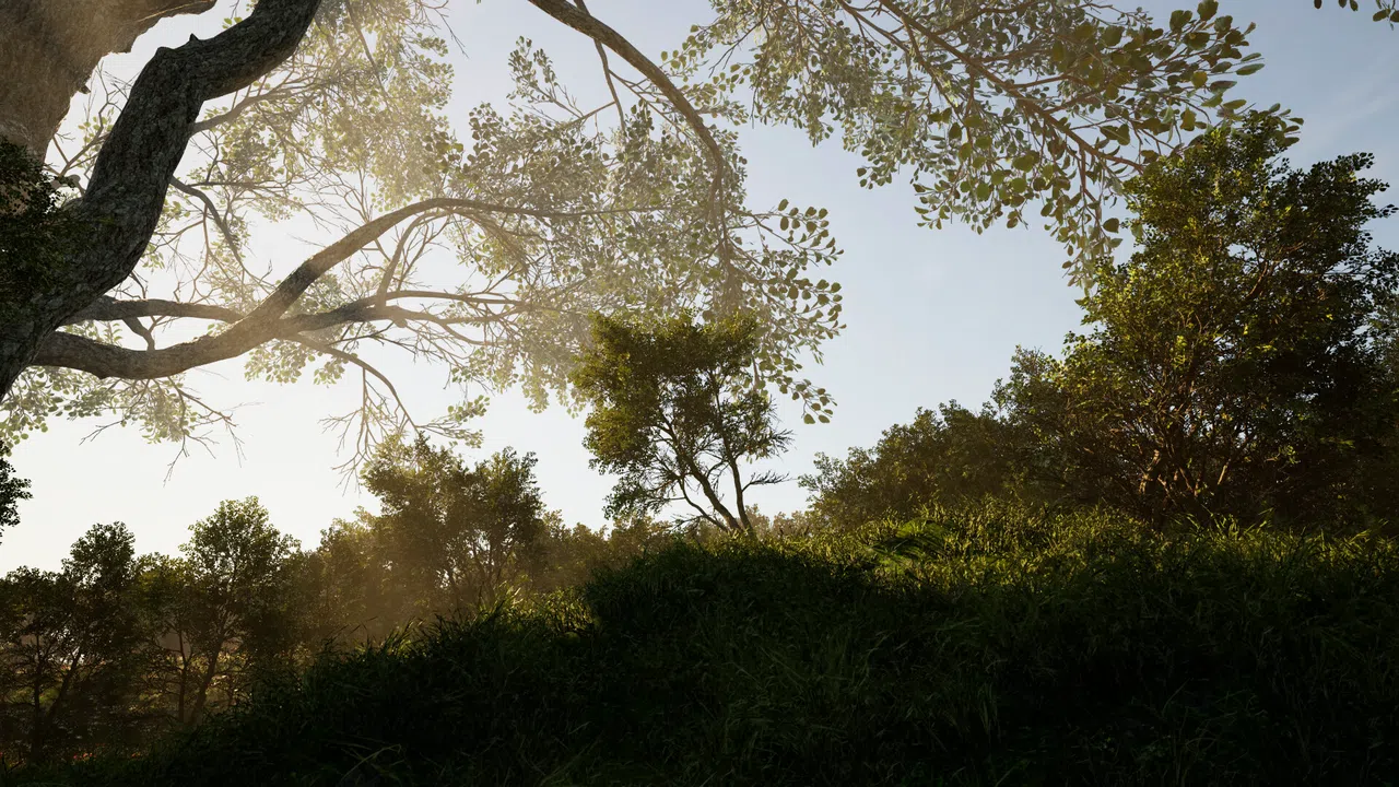 Calming Forest Screenshot 5