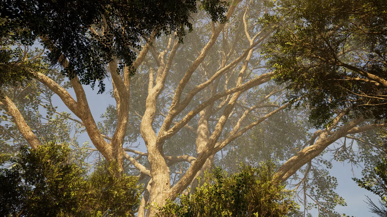 Calming Forest Screenshot 2