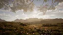 Calming Forest Screenshot 12