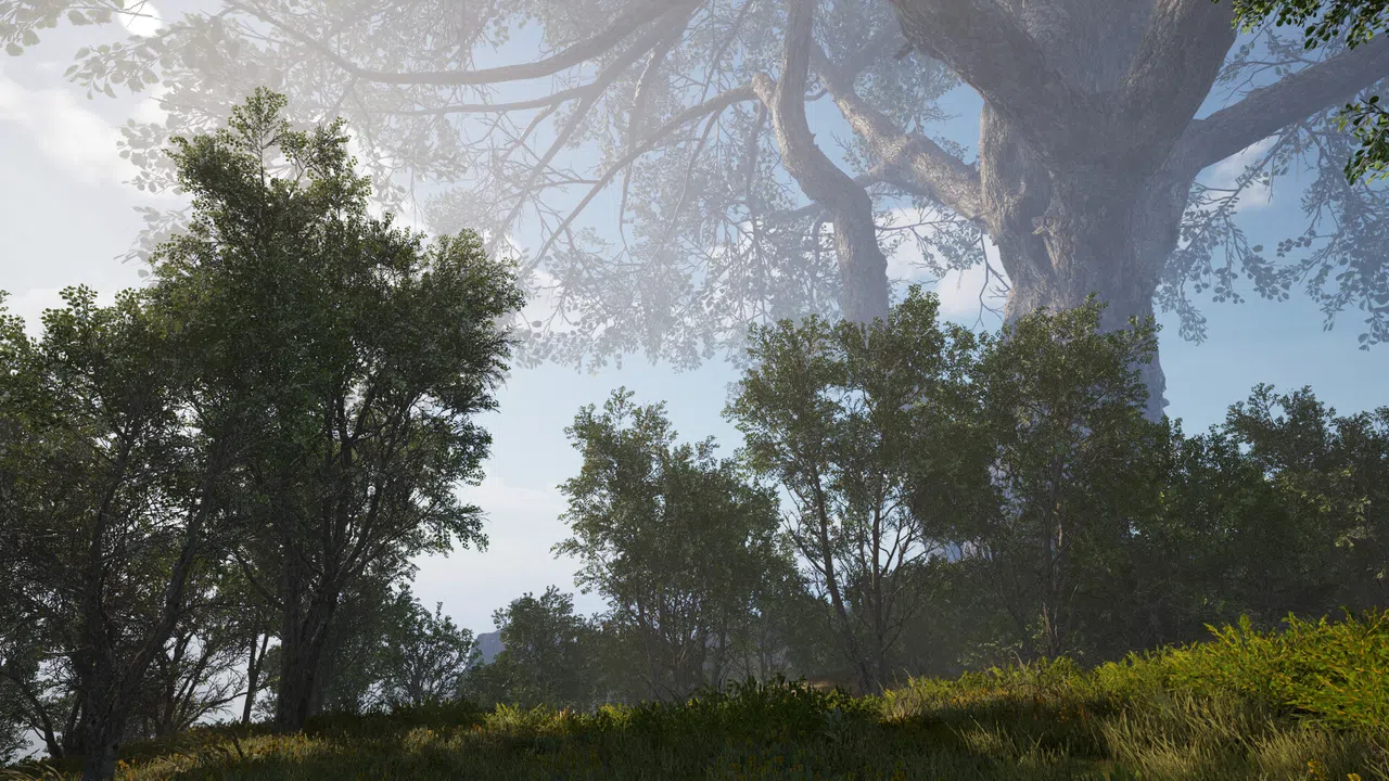 Calming Forest Screenshot 13