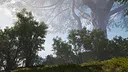 Calming Forest Screenshot 13