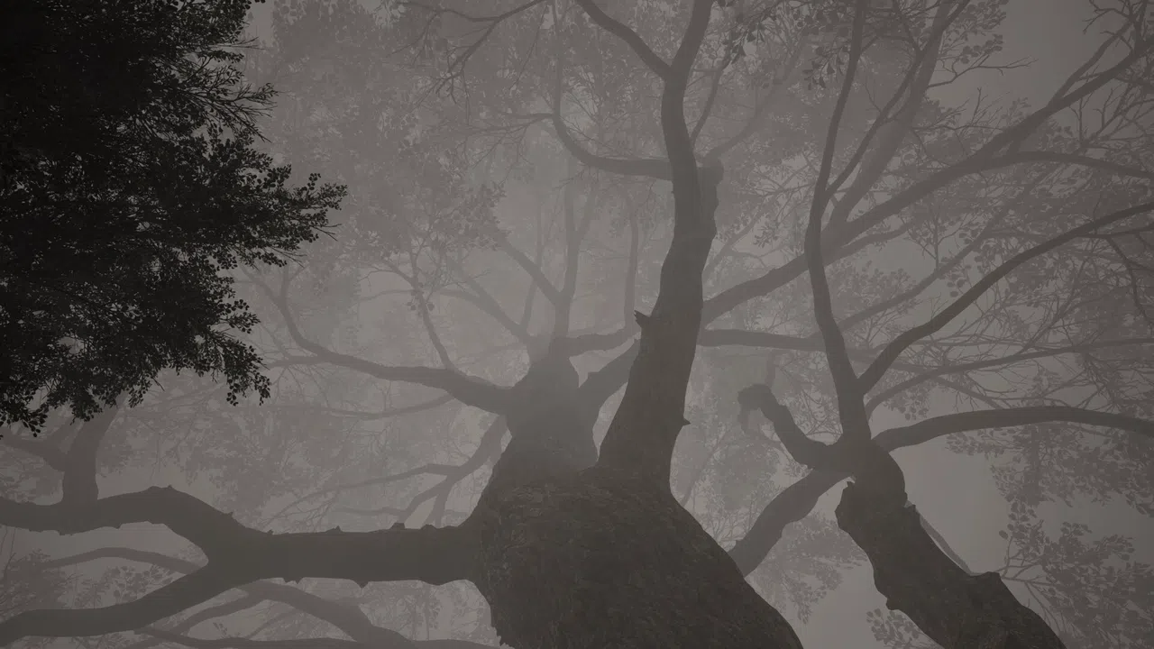 Calming Forest Screenshot 4