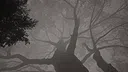 Calming Forest Screenshot 4