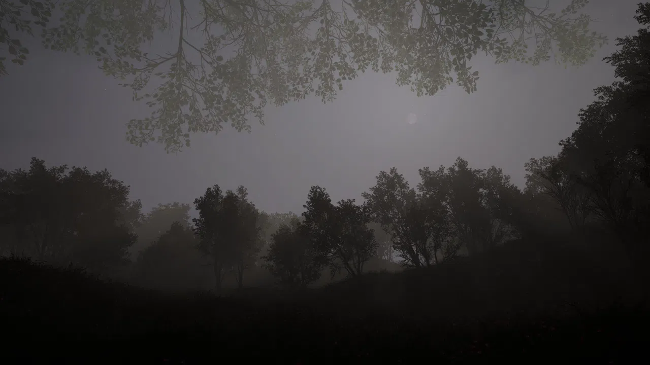 Calming Forest Screenshot 3