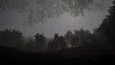 Calming Forest Screenshot 3