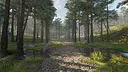 Calming Forest Screenshot 10