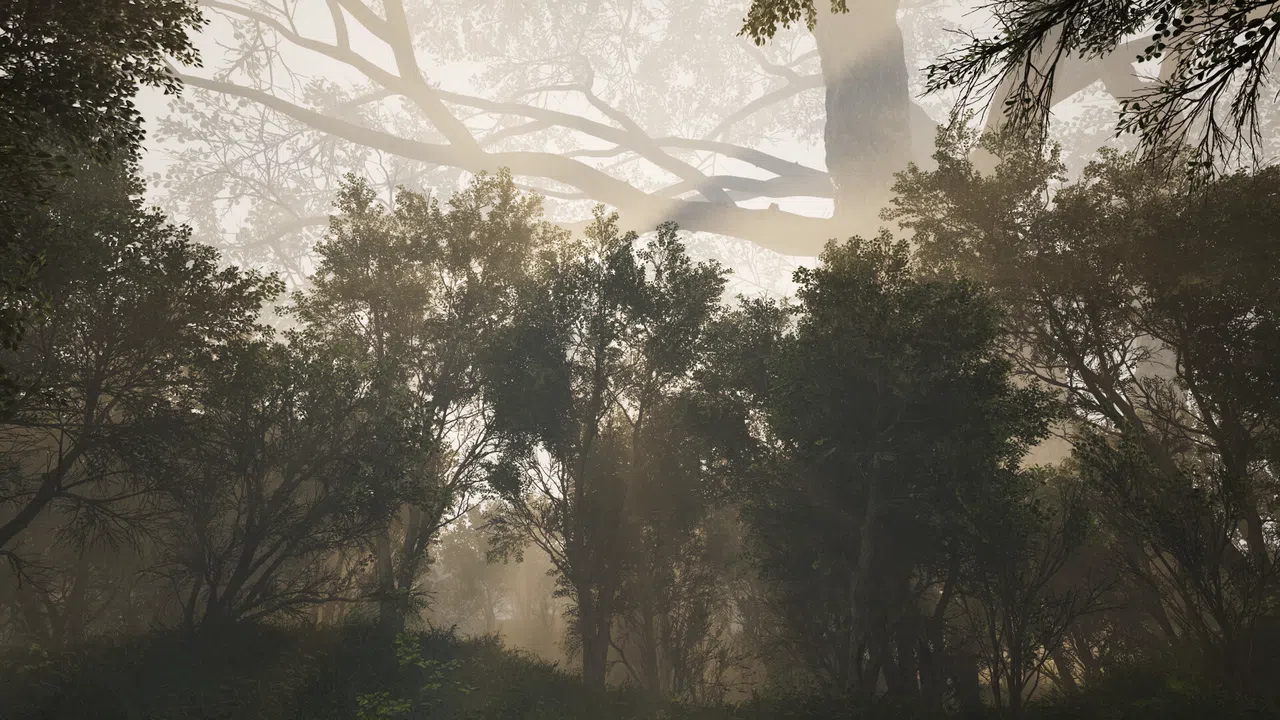 Calming Forest Screenshot 7