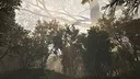 Calming Forest Screenshot 7