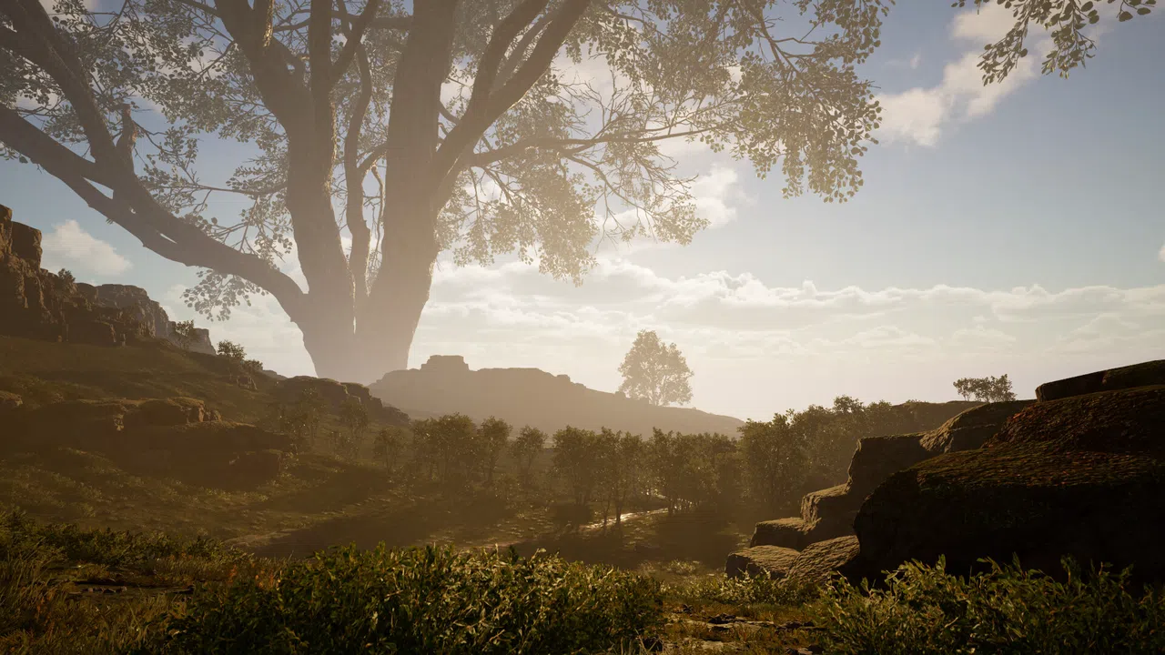 Calming Forest Screenshot 11
