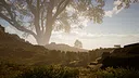 Calming Forest Screenshot 11