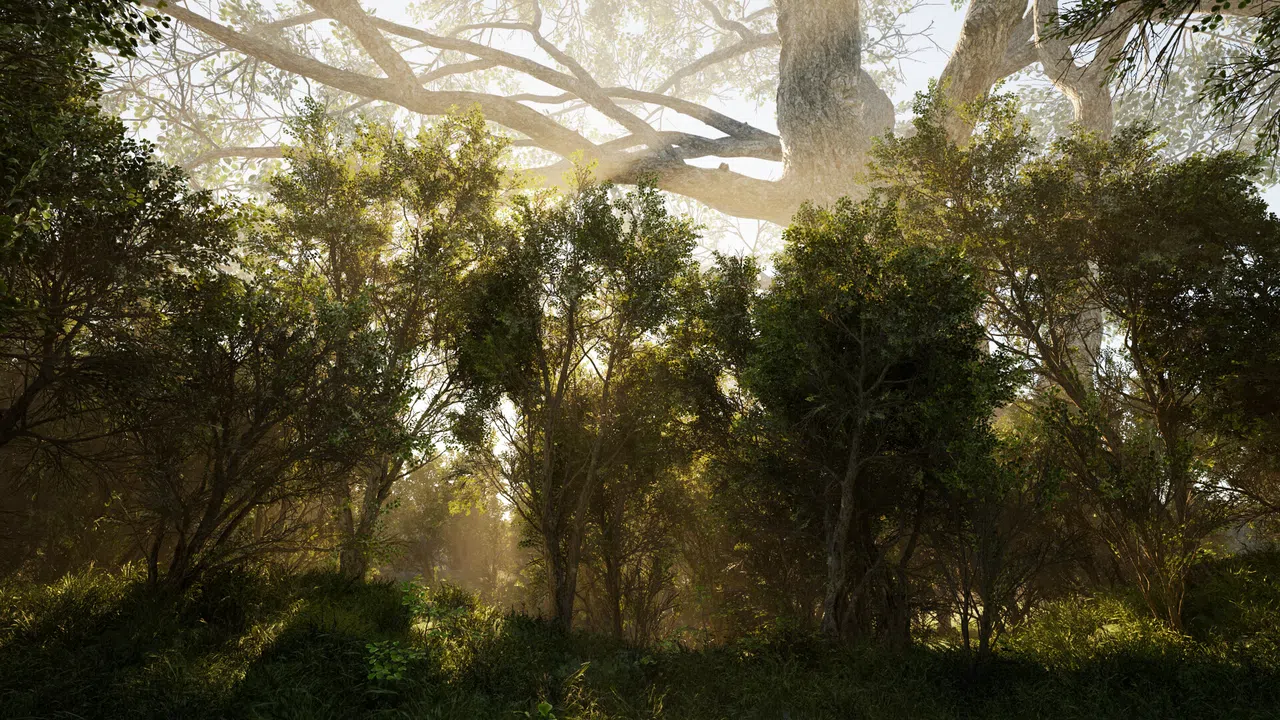 Calming Forest Screenshot 0
