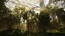Calming Forest Screenshot 0