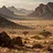 Desert Survivor