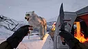 SNOW HELL Screenshot 4
