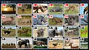 Free Solitaire - Nature Screenshot 6
