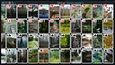 Free Solitaire - Nature Screenshot 2