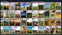 Free Solitaire - Nature Screenshot 4