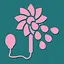 Squirting Flower icon
