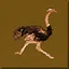 Speed Climber Bronze icon