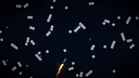 The Catastrophe Screenshot 4