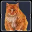 Meet Michael icon