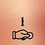 What have you done ? icon