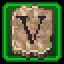 Chapter 5 icon