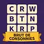 Brut de consonnes icon