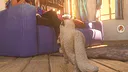The Cat: Tales of Istanbul Screenshot 5