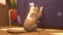 The Cat: Tales of Istanbul Screenshot 2