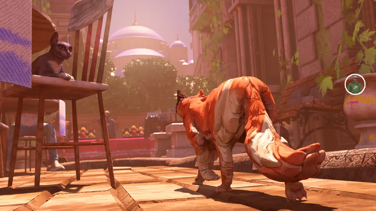 The Cat: Tales of Istanbul Screenshot 1