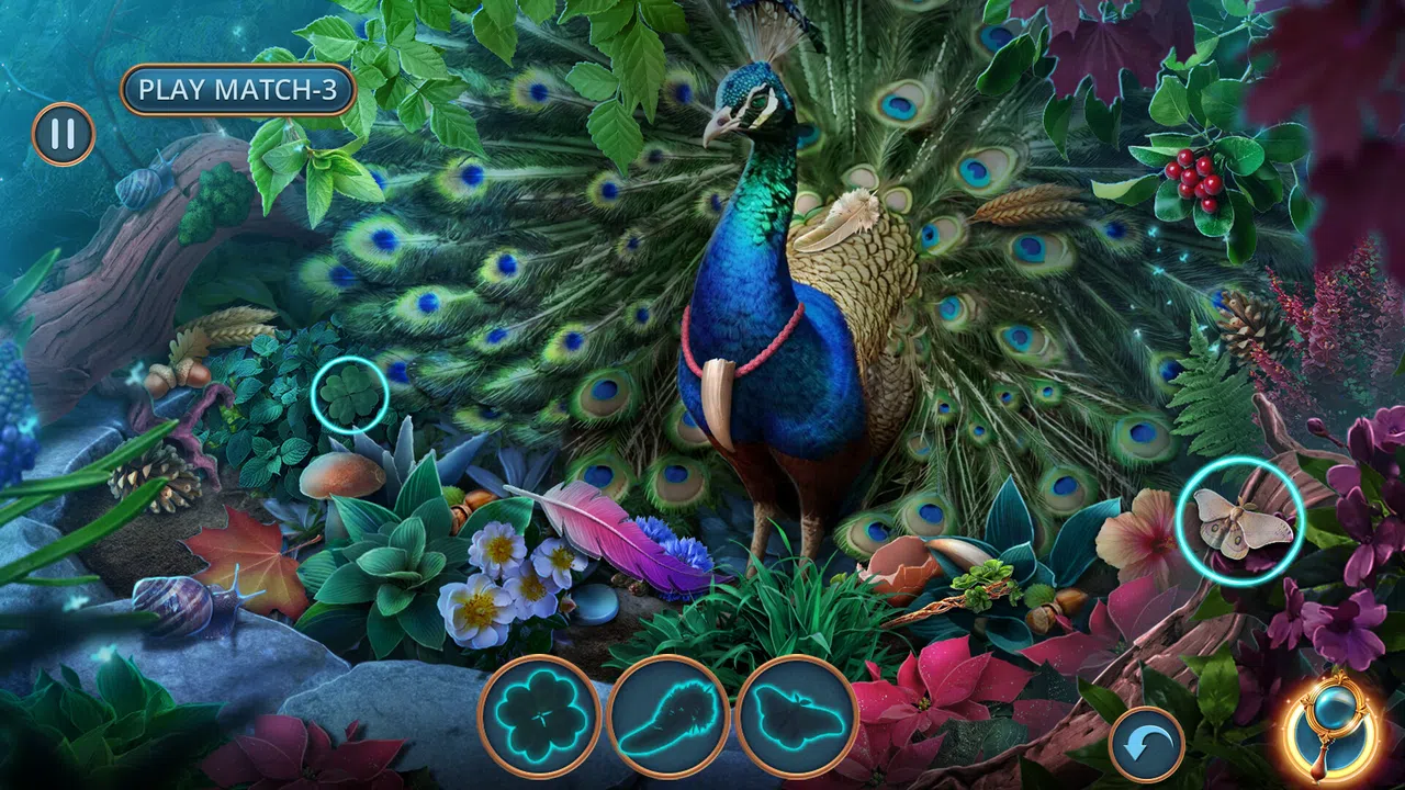 Enchanted Stories: Mystic Woods Collector's Edition Screenshot 2