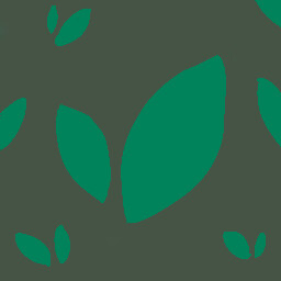 Holistic Approach icon