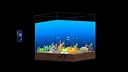 Aqua Corner Screenshot 0