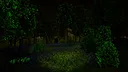 Aokigahara :The death forest Screenshot 4