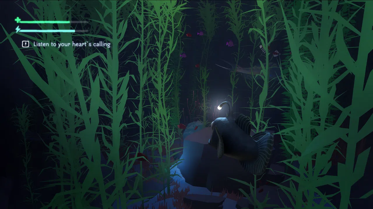 It was beautiful Screenshot 5