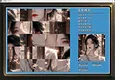仙灵图录 Screenshot 0