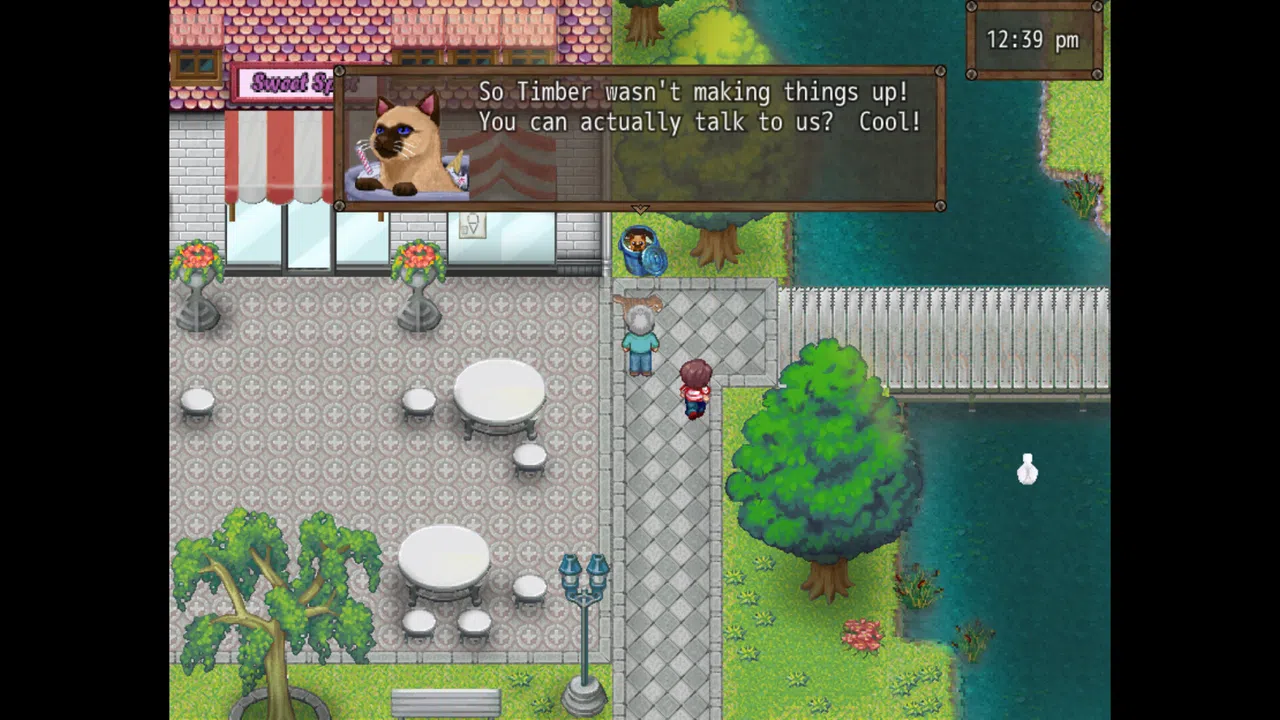 Cat Crazy Screenshot 4