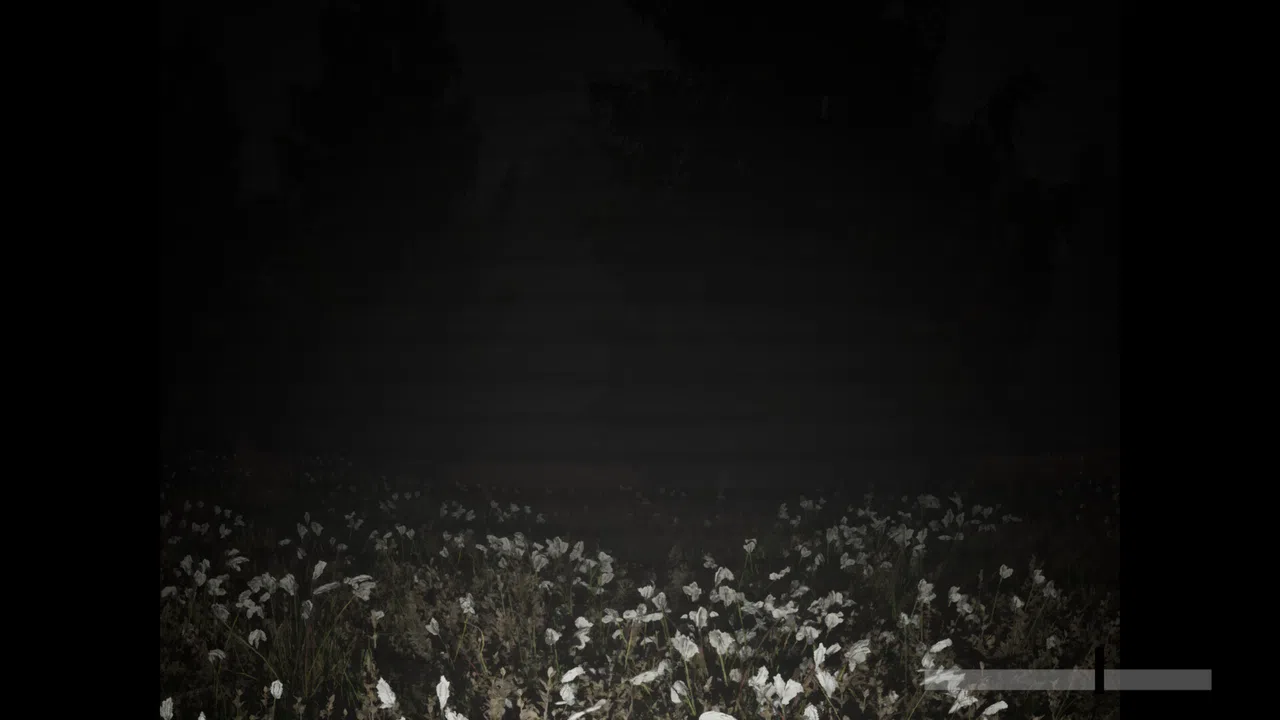 Wildervan Files Screenshot 0