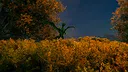 Wyversium Screenshot 6