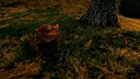 Wyversium Screenshot 0