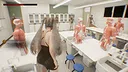 Chinese style school Screenshot 26