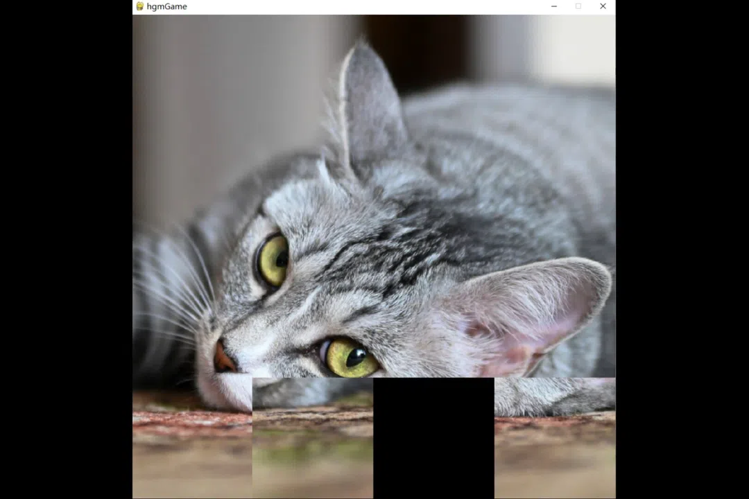 hgmGame-cat Screenshot 0