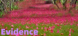 Evidence