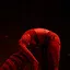 No Turning Back icon