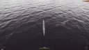 Warship Survival Demo Screenshot 6