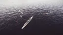 Warship Survival Demo Screenshot 7