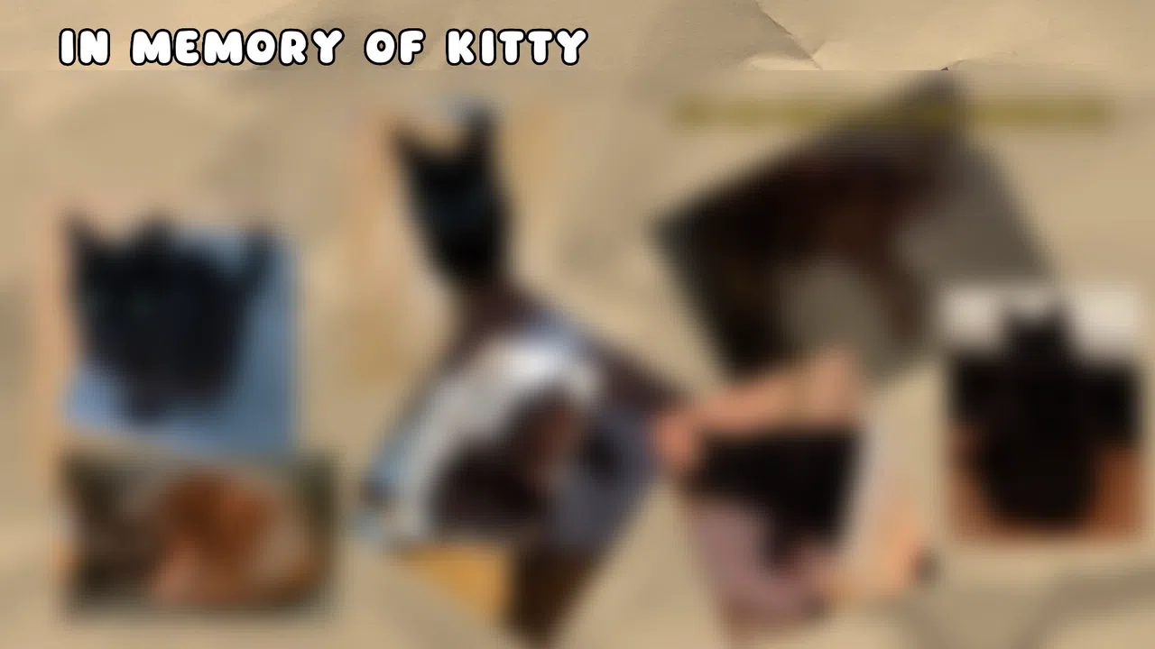 Kitty's Last Adventure - Supporter Pack Screenshot 3