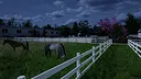 Giddy Up Screenshot 9