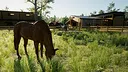 Giddy Up Screenshot 7